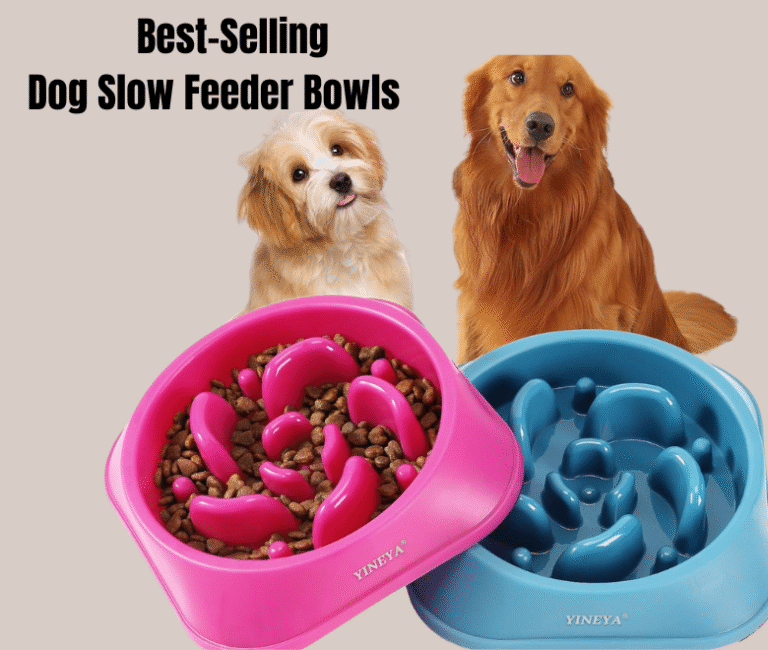 Dog Slow Feeder Bowls